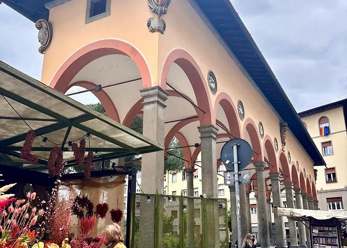 Affittacamere Medusa Firenze